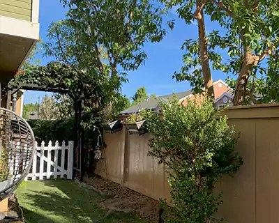 Yard after stump grinding and cleanup